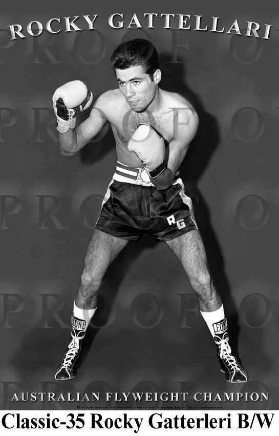 D28-173 Rocky Gatterleri Layout.jpg