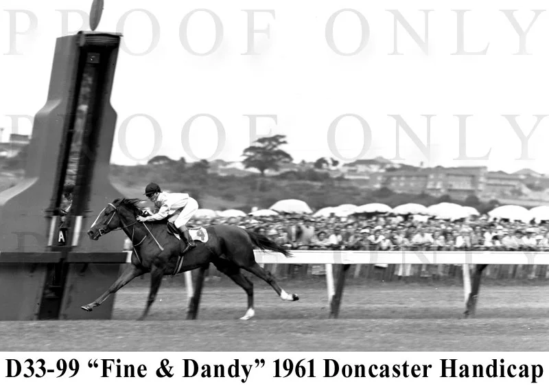 Fine & Dandy D33-99.jpg