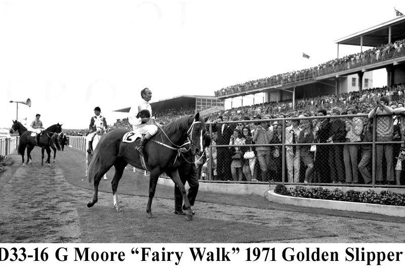 Fairy Walk D33-16.jpg