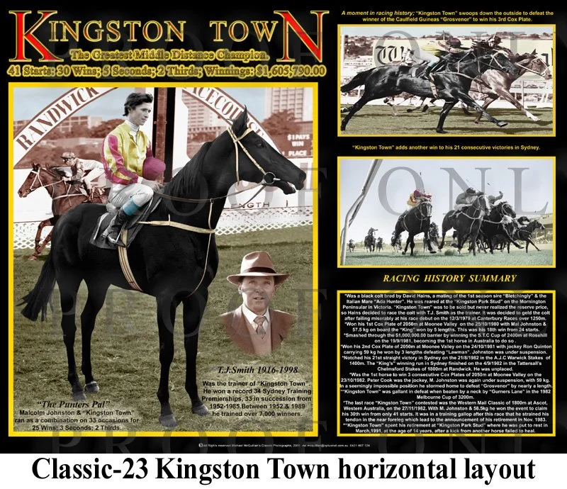 Kingston Town Layout 16x20 copy.jpg