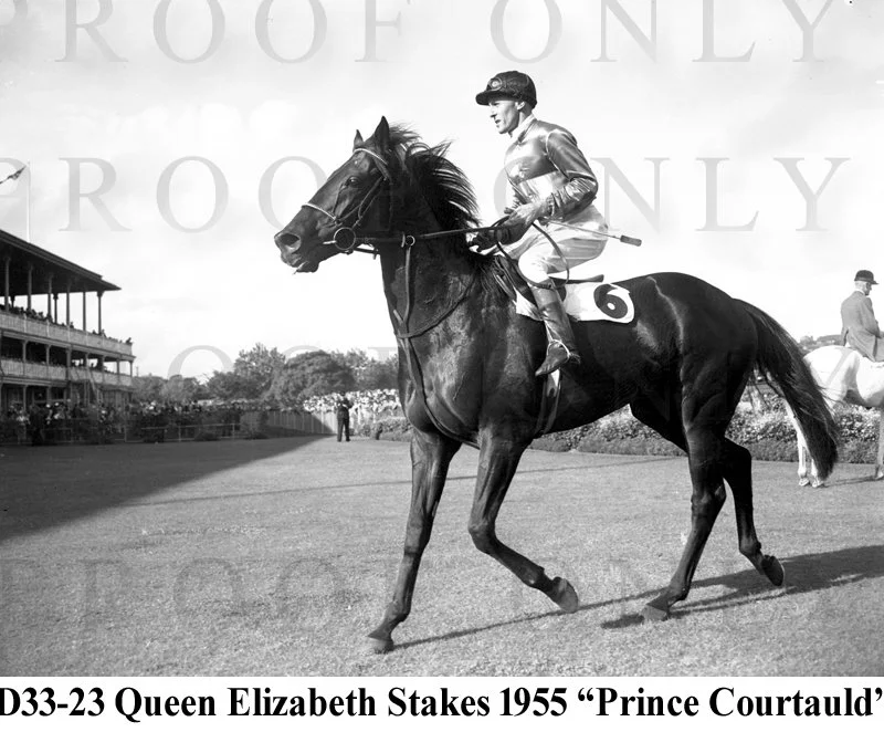 Prince Courtauld 1955 Queen Eliz stk  D33-23.jpg