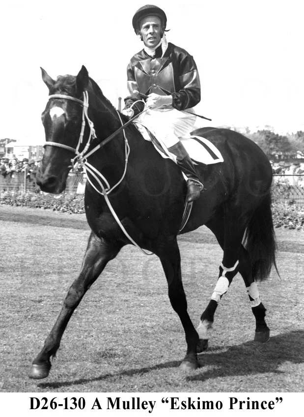D26-130 Eskimo Prince & Athol Mulley 1964 Golden Slipper winner.jpg