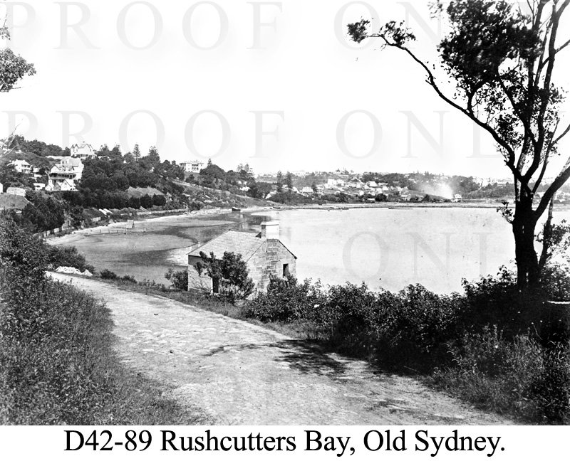 Old Sydney Rushcutters Bay D42-89.jpg