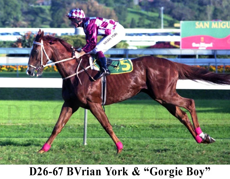 D26-67 Gorgie Boy & B York.jpg
