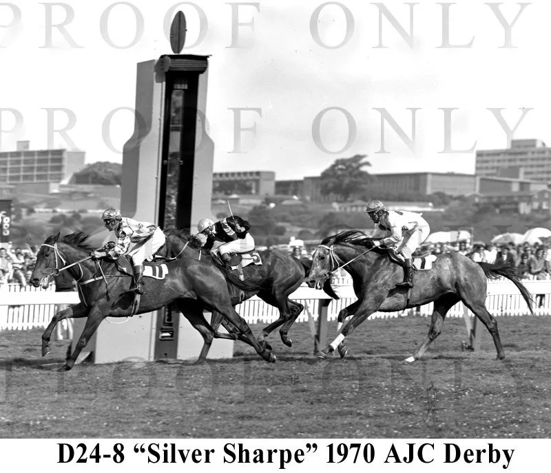 D24-8 Silver Sharpe AJC Derby 1970.jpg