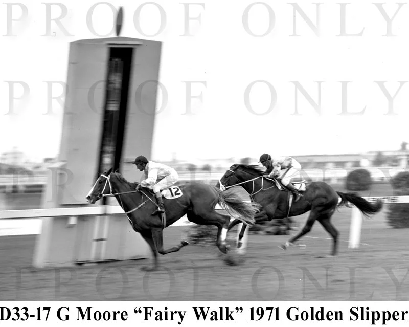 Fairy Walk D33-17.jpg