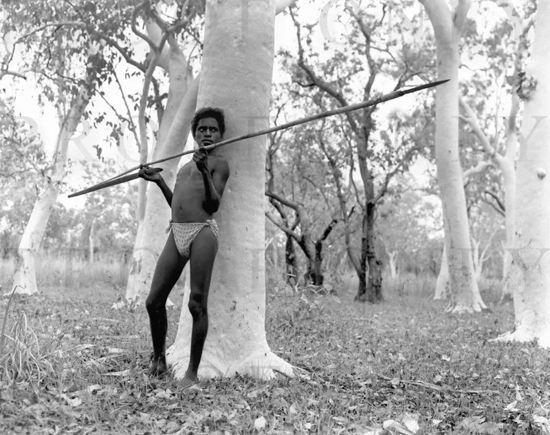 D27-9 Arnham Land The Warrior