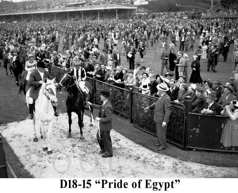 D18- 15 Pride Of Egypt.jpg