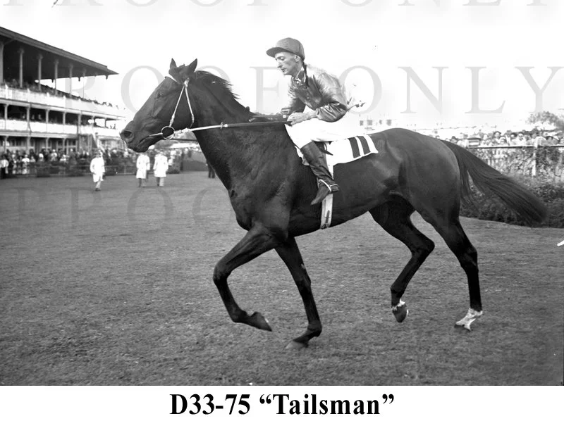 Talisman D33-75.jpg