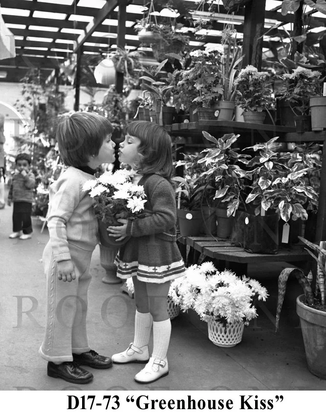 D17-73 Greenhouse Kiss.jpg