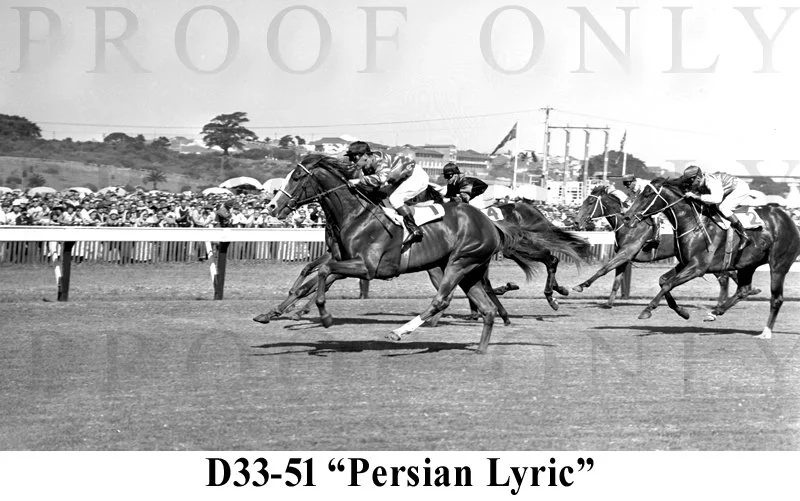 Persian Lyric D33-51.jpg