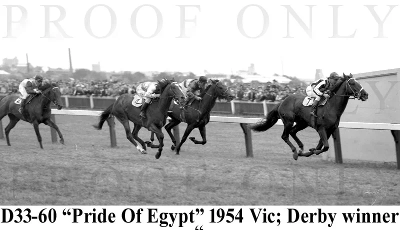 1954 Victoria Derby winner Pride of Egypt D33-60.jpg