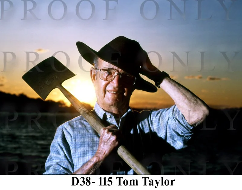 Taylor Tom D38-115 copy.jpg