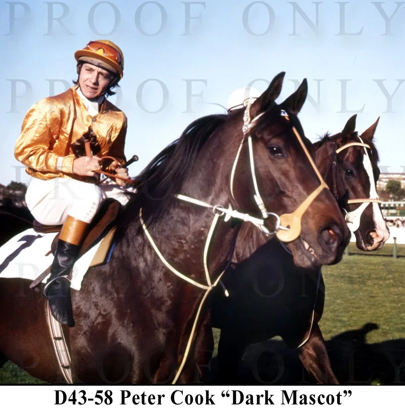 Dark Mascot P Cook D43-58.jpg