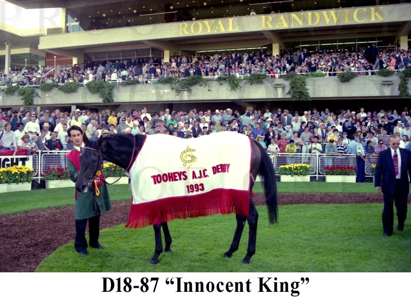 D18- 87 Ajc Derby 1993 Innocent King.jpg