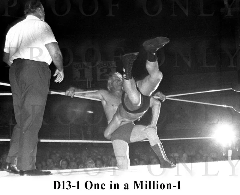 D13-1 One in a million.jpg