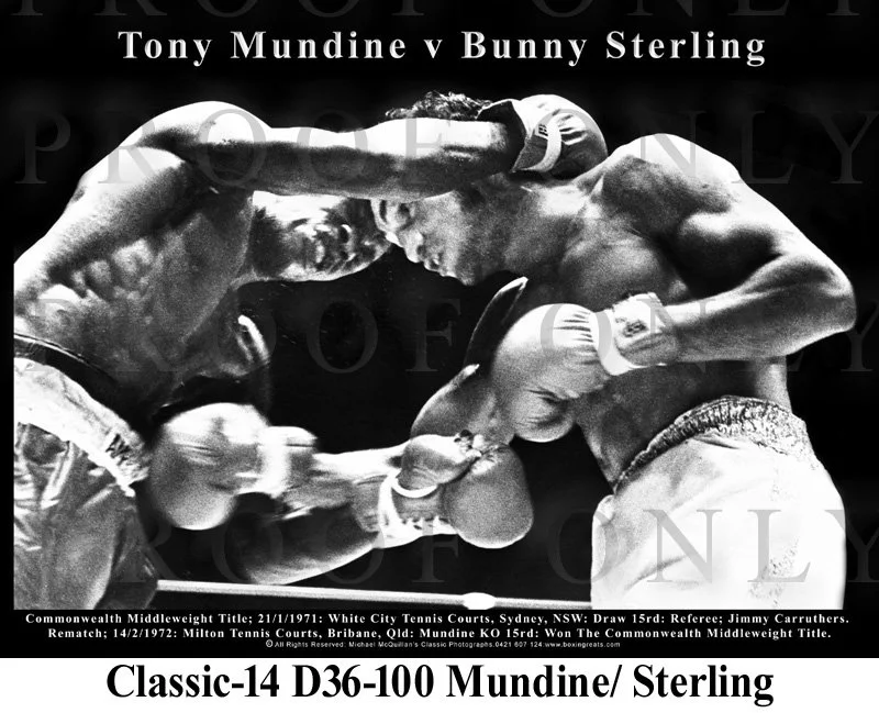 Mundine Tony D36-100 Layout.jpg