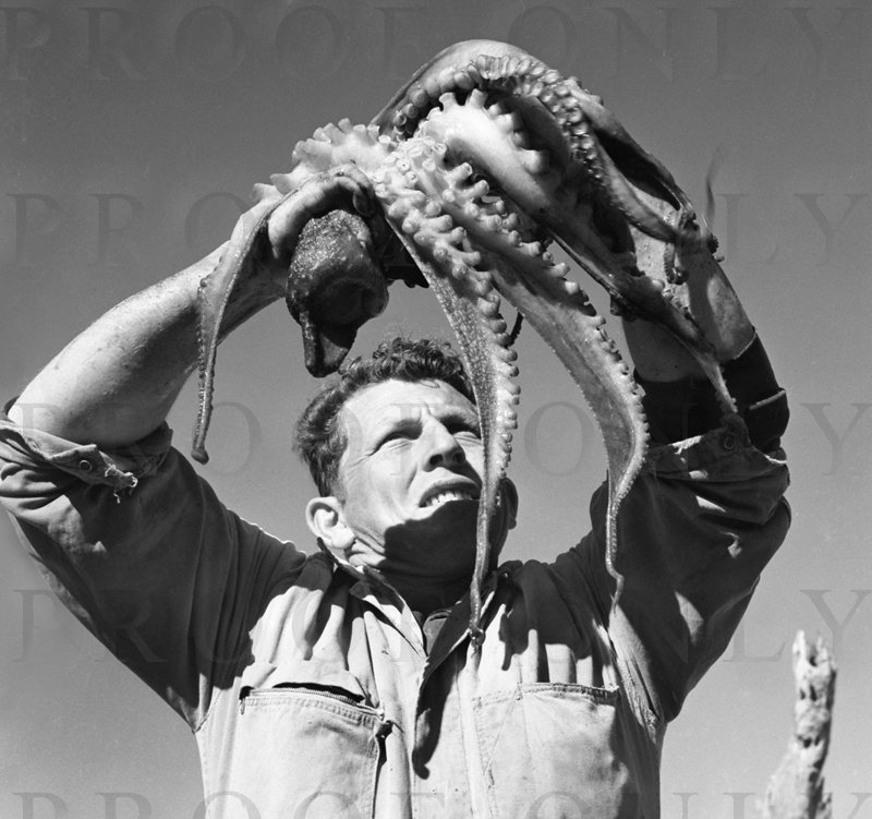 Octopus Man 1977 D38-41