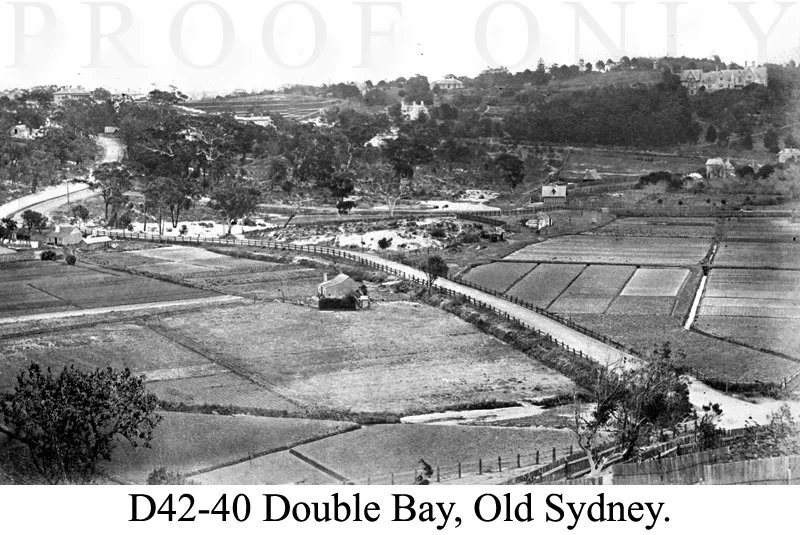 Old Sydney Double Bay D42-40.jpg