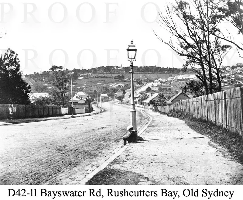 Old SydneyBayswater Rd D42-11.jpg