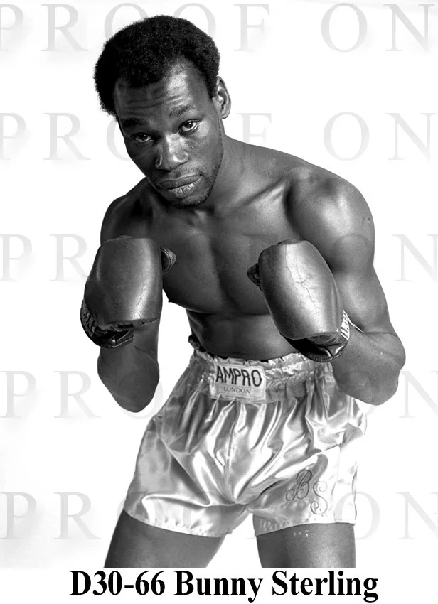 D30-66 Bunny Sterling.jpg