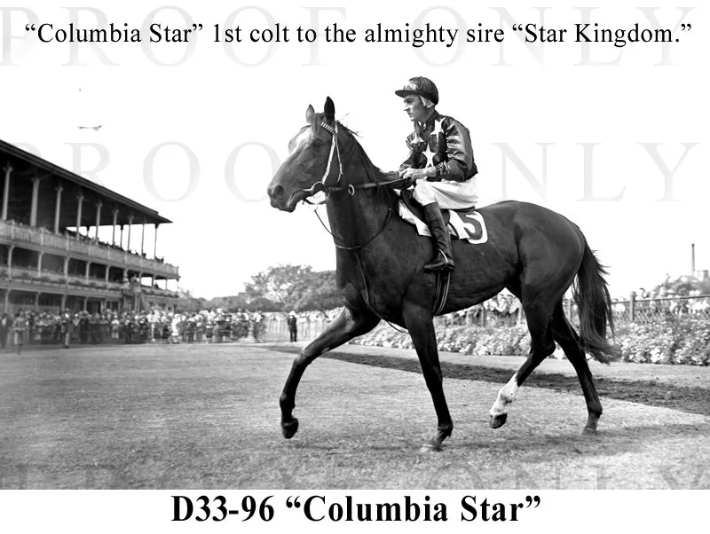 Columbia Star D33-96.jpg