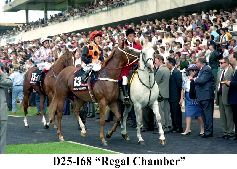 D25-168 Regal Chamber & Munce.jpg