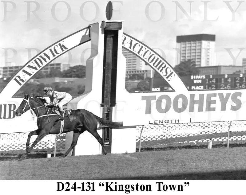 D24-131 Kingston Town.jpg