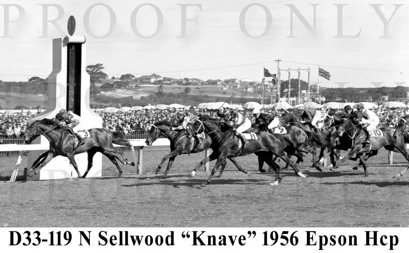 Espon Hcp 1956 winner Knave D33-119.jpg