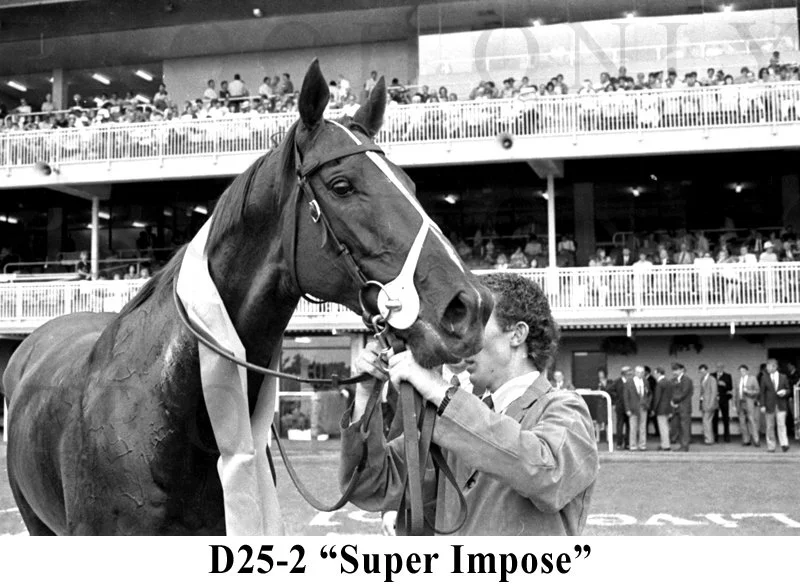 D25-2 Super Impose.jpg