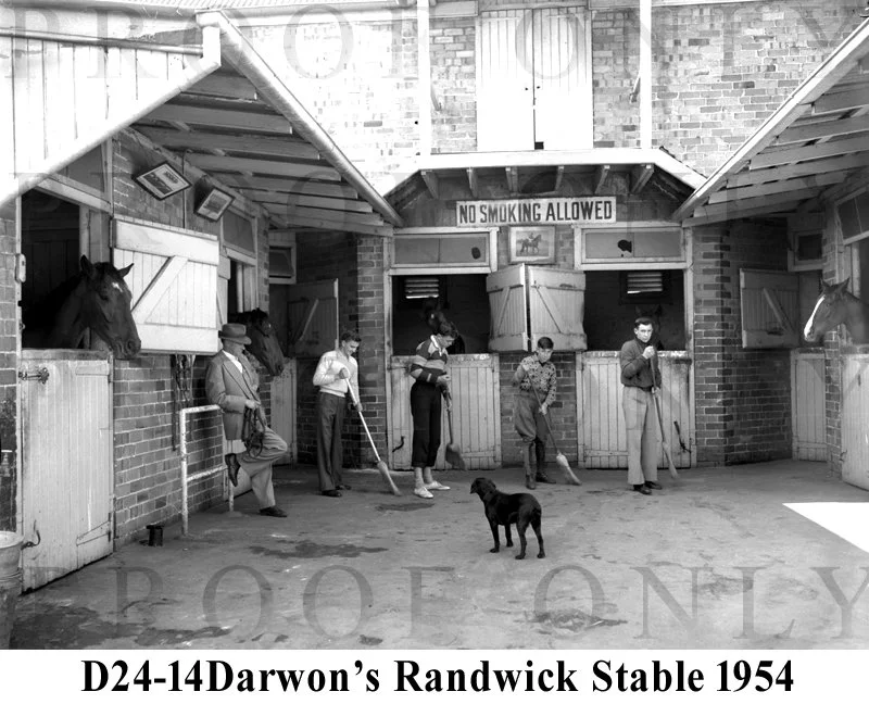D24-14 Darwon's Randwick Stable 1954.jpg
