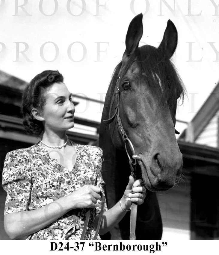 D24-37 Bernborough.jpg