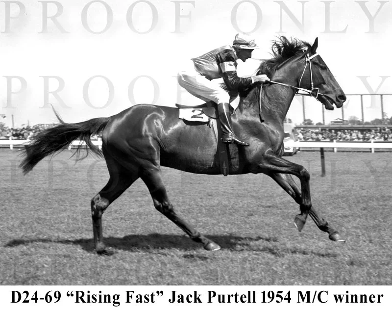 D24-69 Rising Fast.jpg