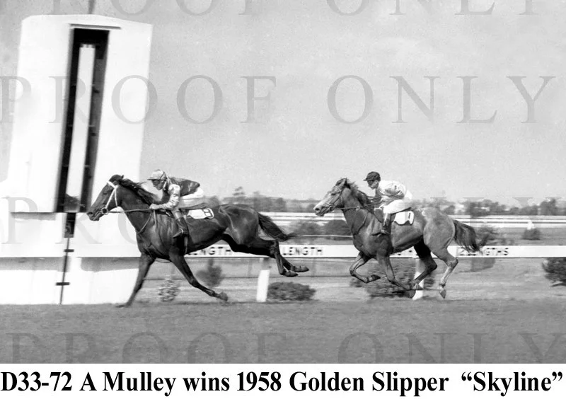 Skyline Golden Slipper winner 1958 D33-72.jpg