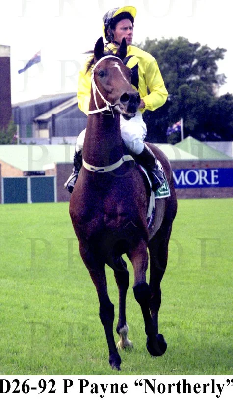 D26-92 Northerly & P Payne.jpg