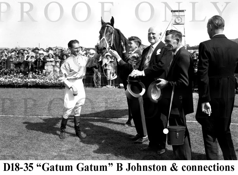 D18- 35 Gatum Gatum Conections.jpg