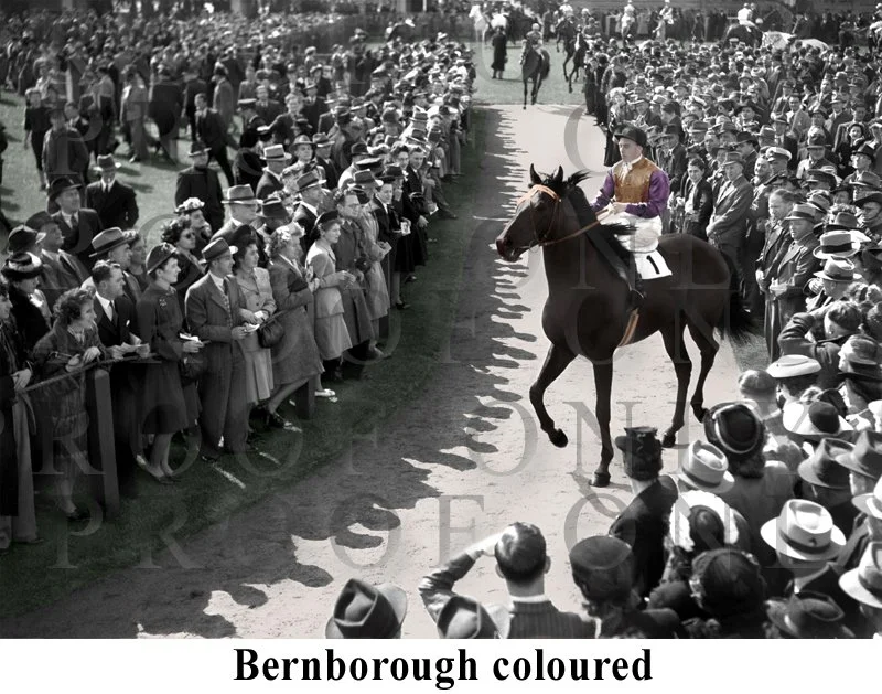 Bernborough coloured.jpg