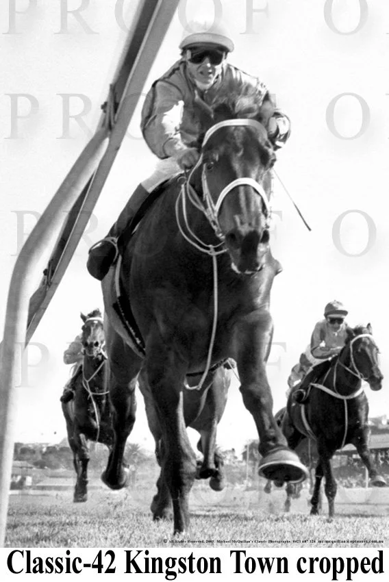 D24-126 Kingston Town cropped.jpg