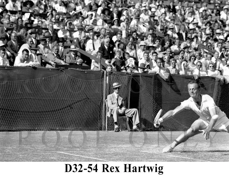 Hartwig Rex D32-54.jpg