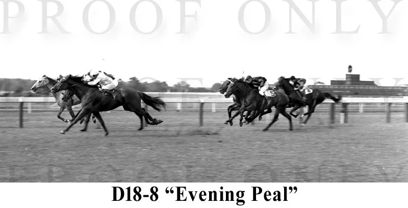 D18- 8 Evening Peal.jpg