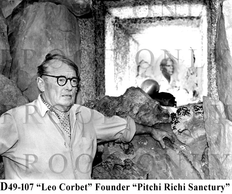 Corbet Leo D49-107 copy.jpg