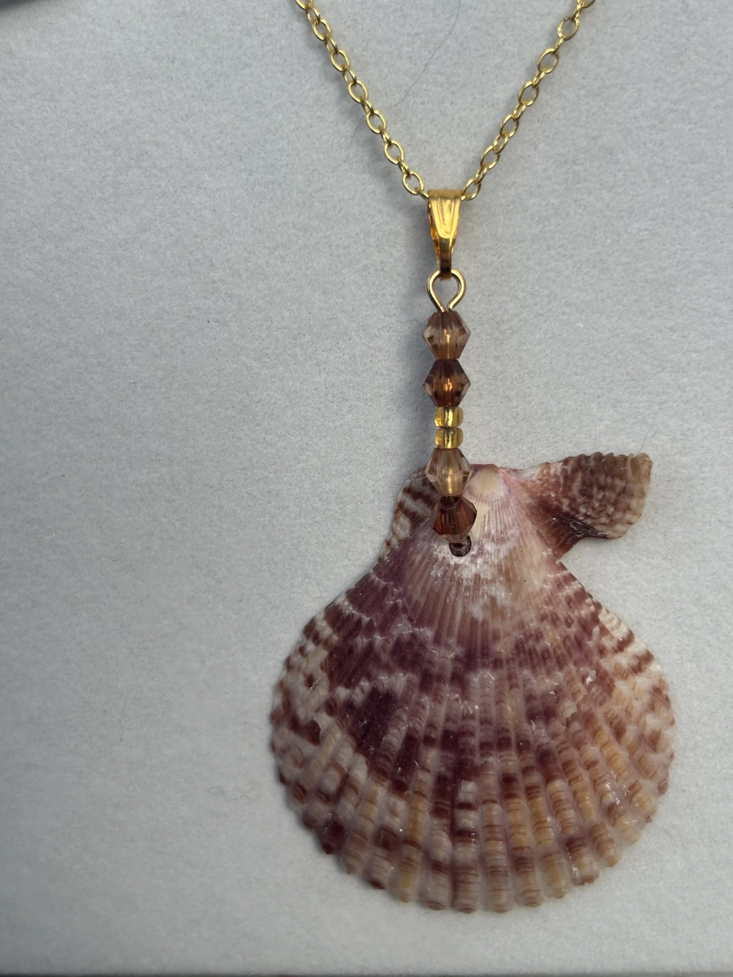 Golden Drift Seashell Necklace