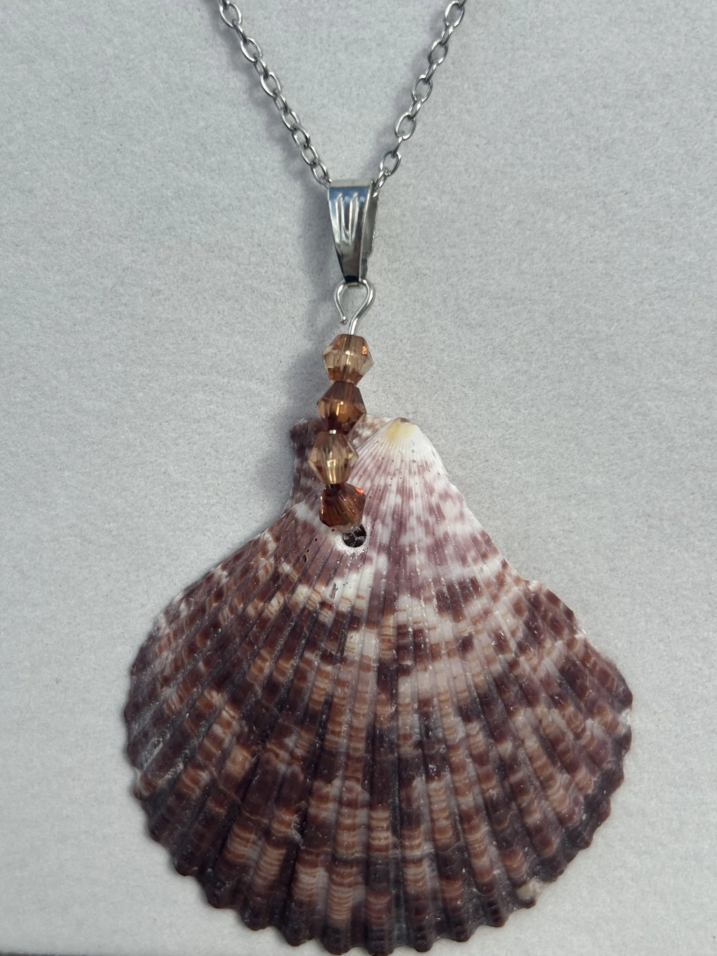 Bronze Glow Shell Necklace