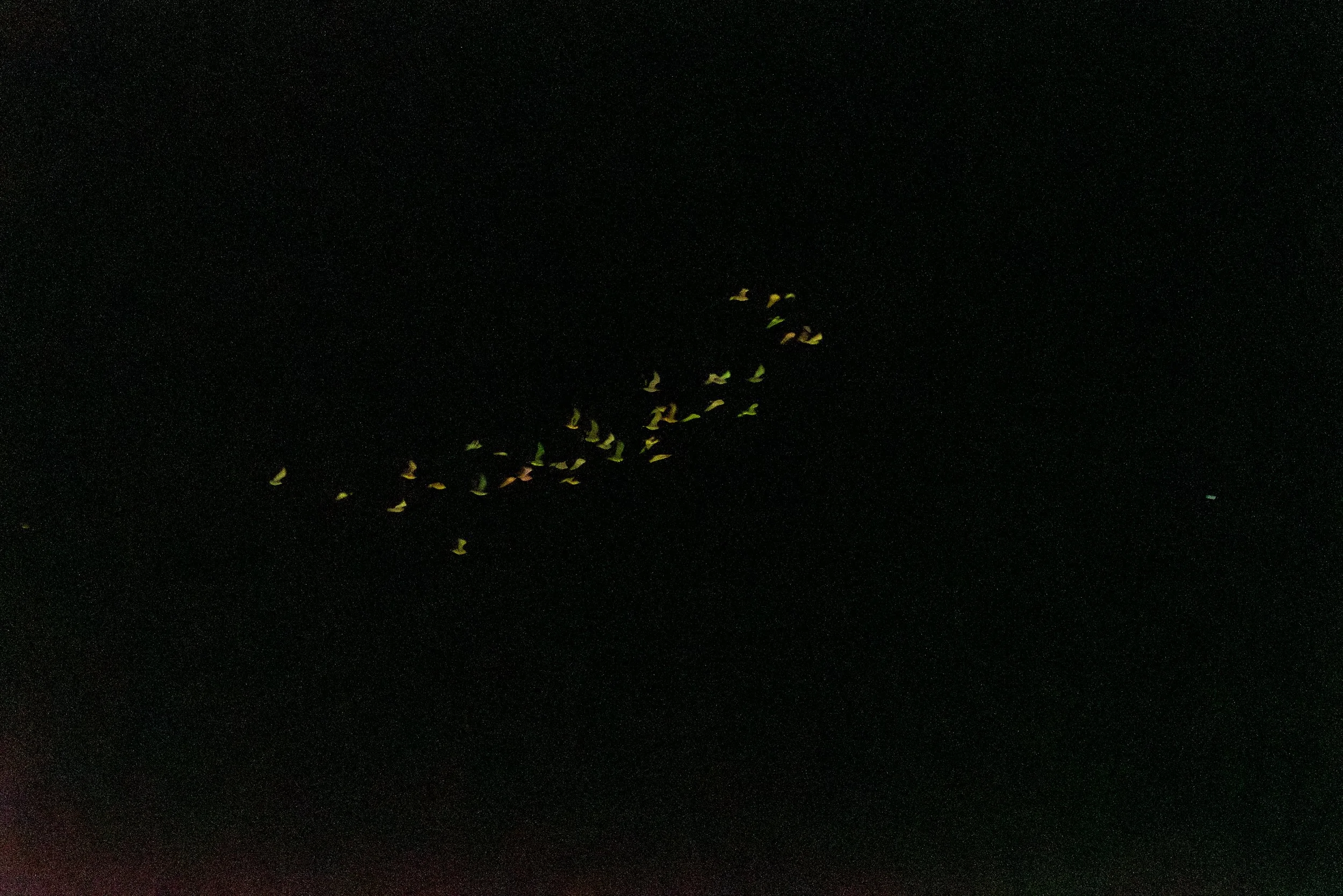 Look at those…drones?