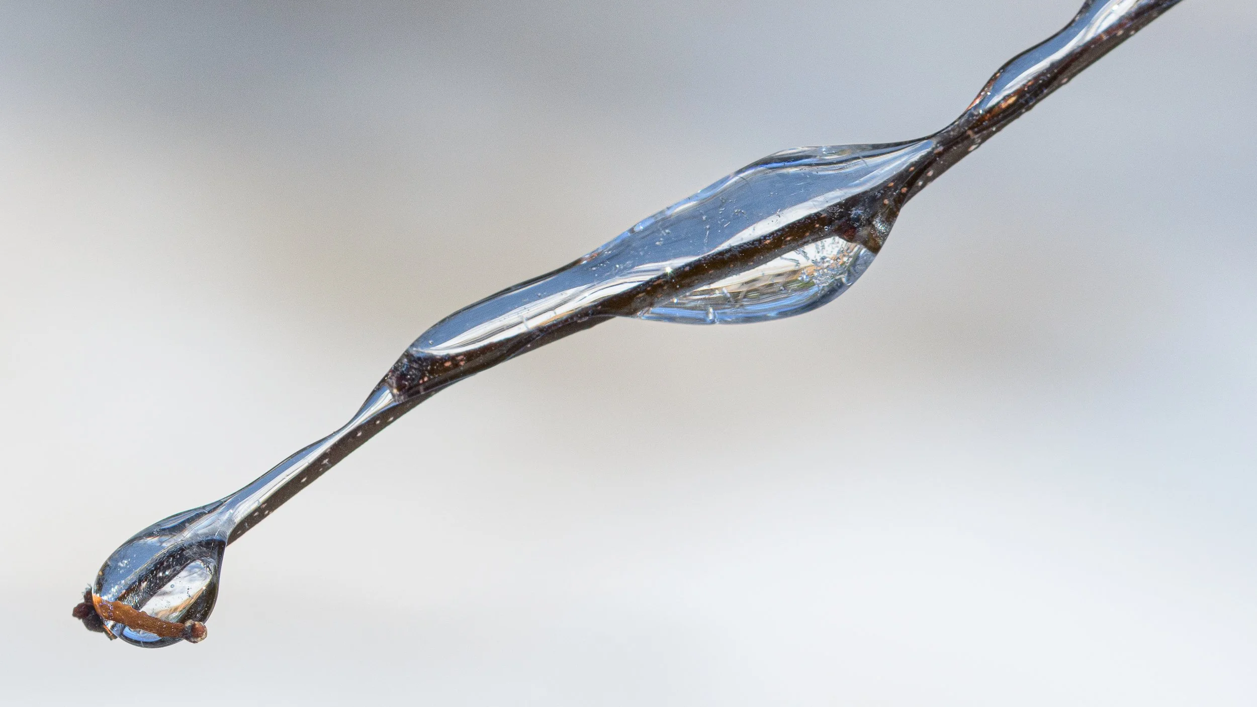 Winter Storm (of Creativity?)