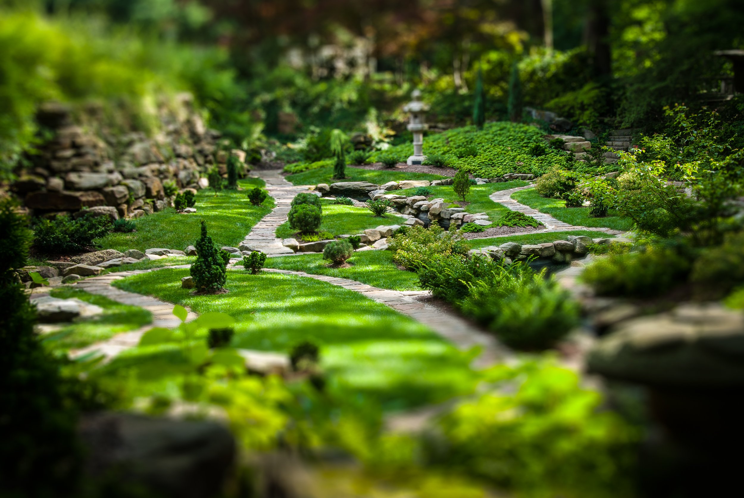 japanese-garden.jpg