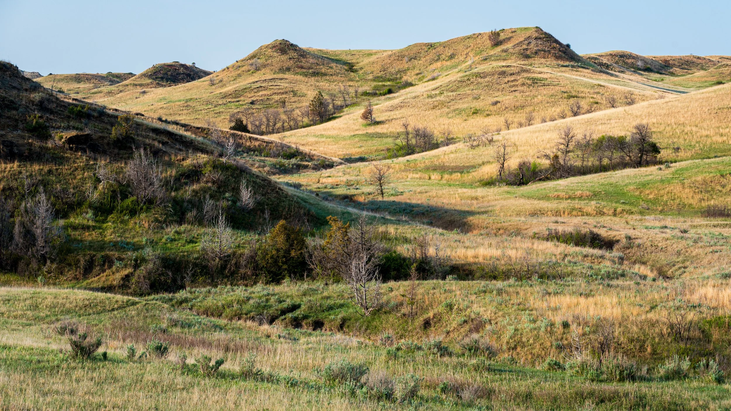 hills-theodore-roosevelt.jpg