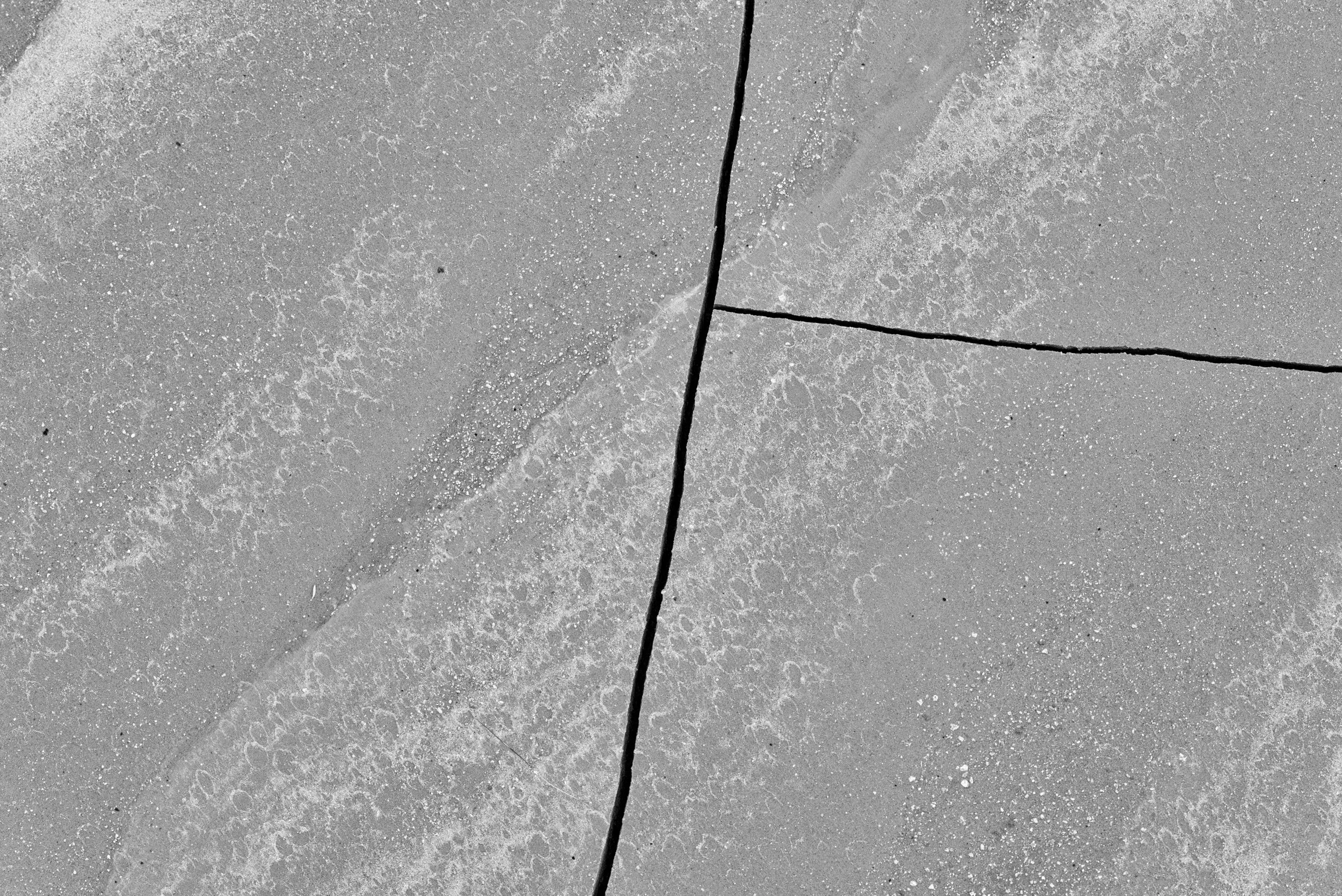 cracked-mud-closeup-bw-2.jpg