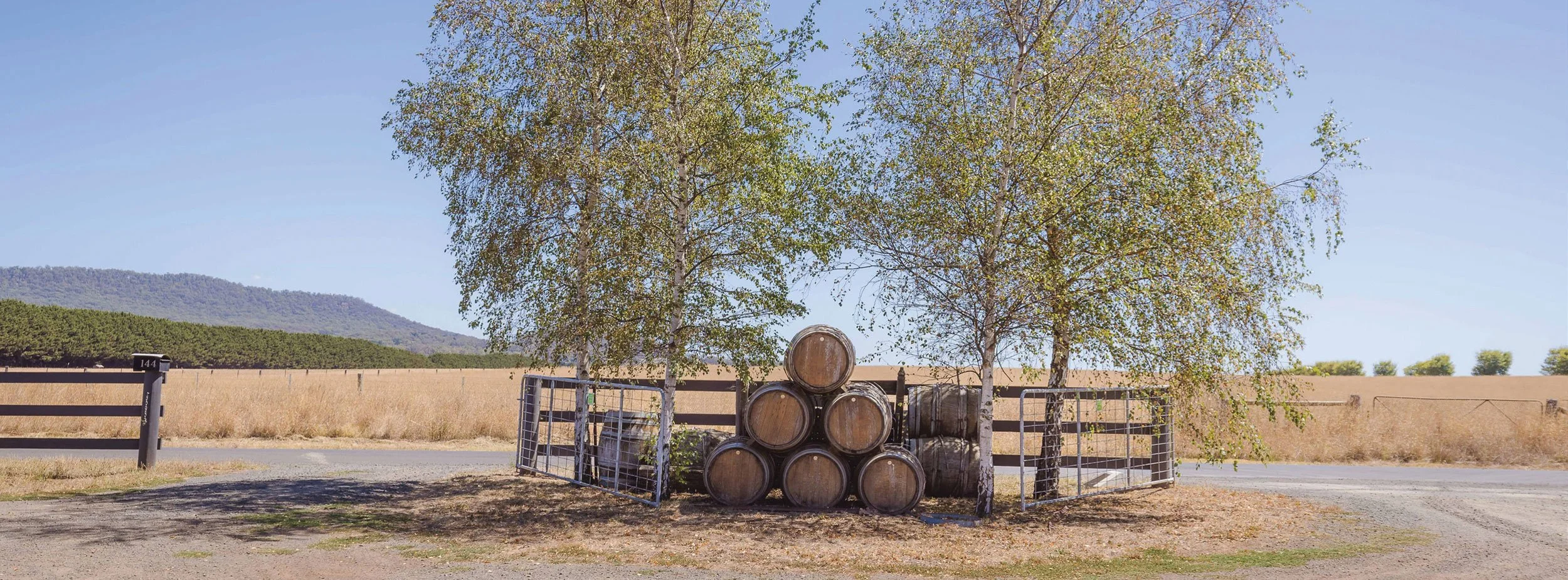 Six wine barrels stacked in pyramids next to trees and a metal fence at Kilchurn sparkling winemaking specialists