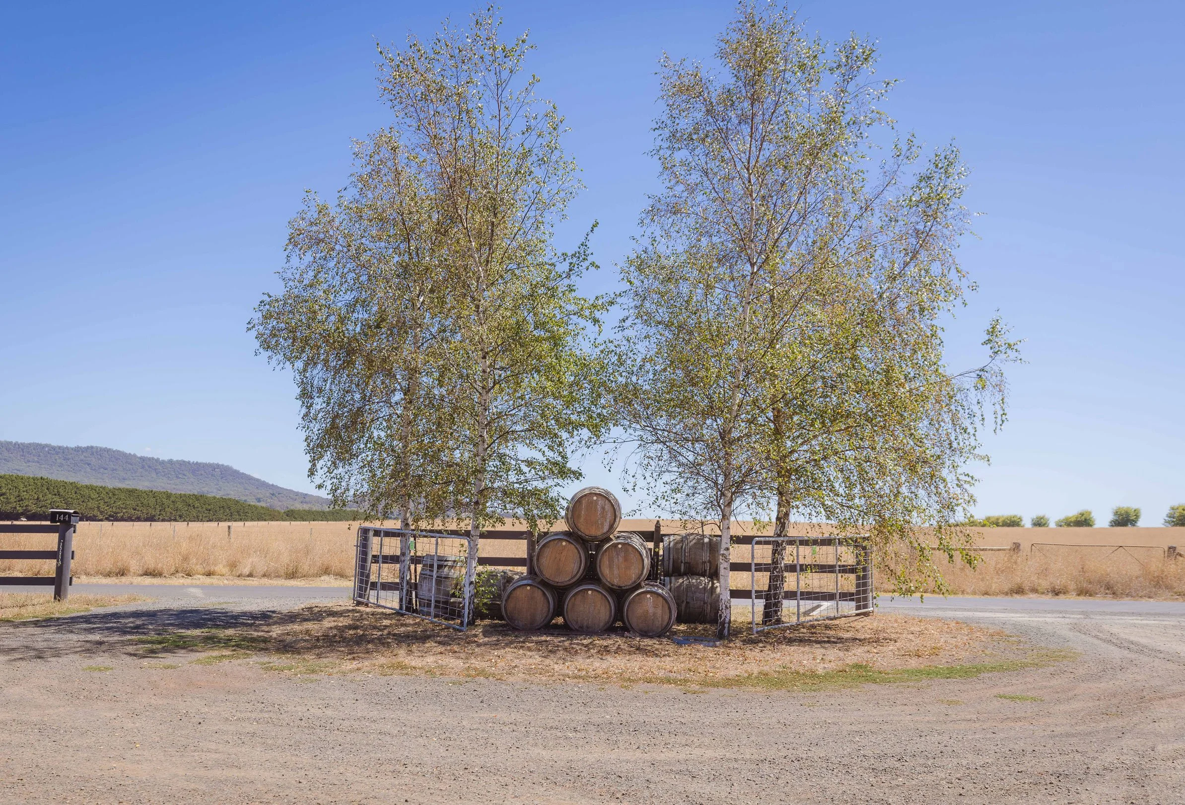 Kilchurn Wines driveway with stacked barrels under trees with blue sky vista